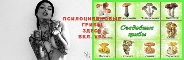 индика Арсеньев