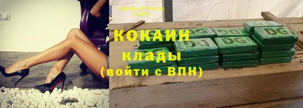 индика Арсеньев