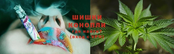 индика Арсеньев