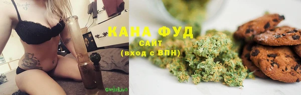 индика Арсеньев