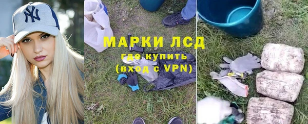 индика Арсеньев