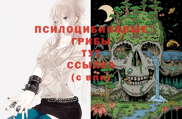 индика Арсеньев