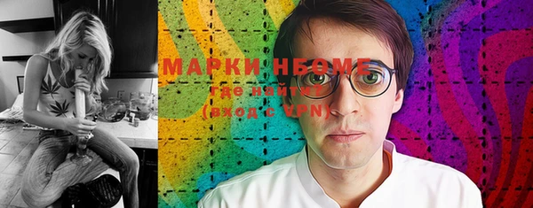 индика Арсеньев