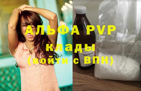 индика Арсеньев