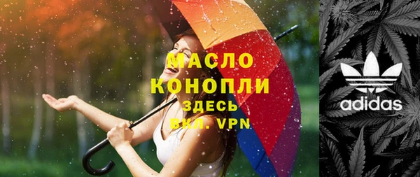 индика Арсеньев