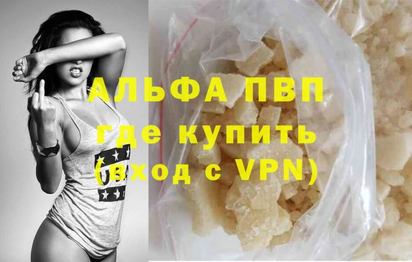 индика Арсеньев