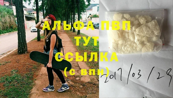 индика Арсеньев