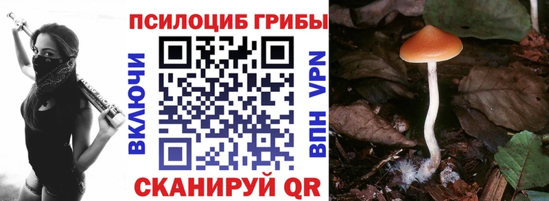 закладки  Макушино  mega сайт  Галлюциногенные грибы Psilocybe 